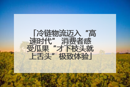 冷链物流迈入“高速时代” 消费者感受瓜果“才下枝头就上舌头”极致体验