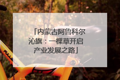 内蒙古阿鲁科尔沁旗：一棵草开启产业发展之路