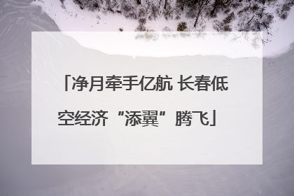 净月牵手亿航 长春低空经济“添翼”腾飞