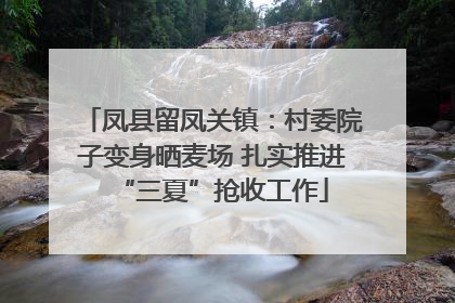 凤县留凤关镇：村委院子变身晒麦场 扎实推进“三夏”抢收工作