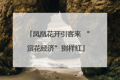 凤凰花开引客来 “赏花经济”别样红