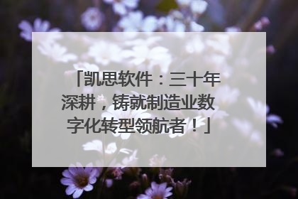 凯思软件：三十年深耕，铸就制造业数字化转型领航者！