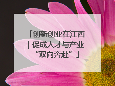 创新创业在江西｜促成人才与产业“双向奔赴”