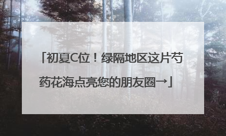 初夏C位！绿隔地区这片芍药花海点亮您的朋友圈→