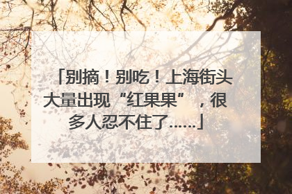 别摘！别吃！上海街头大量出现“红果果”，很多人忍不住了……