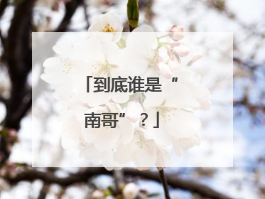 到底谁是“南哥”？