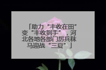 助力“丰收在田”变“丰收到手”，河北各地各部门厉兵秣马迎战“三夏”