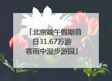 北京端午假期首日31.67万游客雨中漫步游园