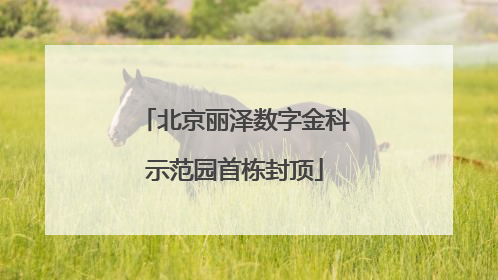 北京丽泽数字金科示范园首栋封顶