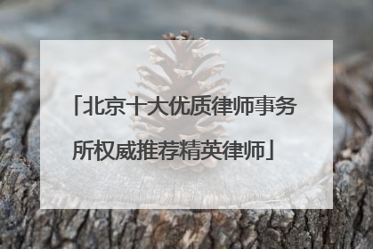北京十大优质律师事务所权威推荐精英律师