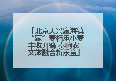 北京大兴瀛海镇“瀛”麦相承小麦丰收开镰 奏响农文旅融合新乐章