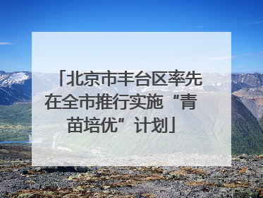 北京市丰台区率先在全市推行实施“青苗培优”计划