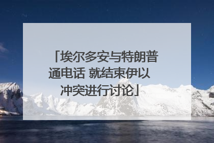 埃尔多安与特朗普通电话 就结束伊以冲突进行讨论