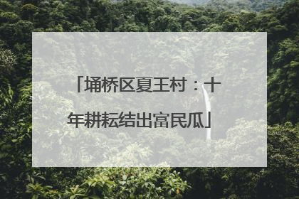 埇桥区夏王村：十年耕耘结出富民瓜