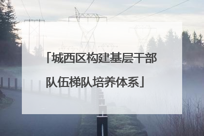 城西区构建基层干部队伍梯队培养体系