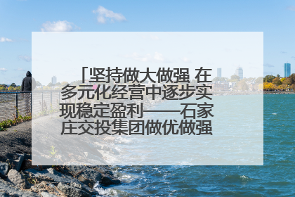 坚持做大做强 在多元化经营中逐步实现稳定盈利——石家庄交投集团做优做强典型报道之三