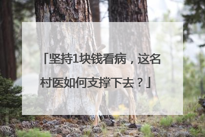 坚持1块钱看病，这名村医如何支撑下去？