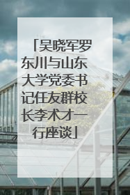 吴晓军罗东川与山东大学党委书记任友群校长李术才一行座谈