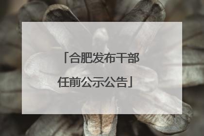 合肥发布干部任前公示公告
