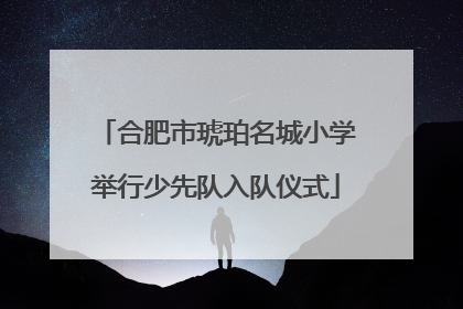 合肥市琥珀名城小学举行少先队入队仪式