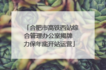 合肥市高铁西站综合管理办公室揭牌 力保年底开站运营