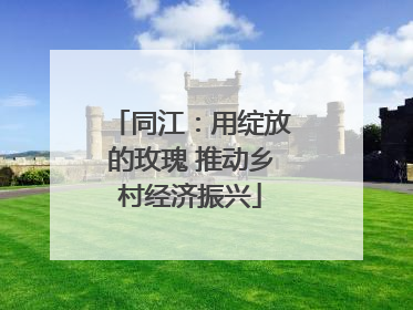 同江：用绽放的玫瑰 推动乡村经济振兴