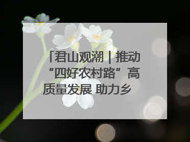 君山观潮｜推动“四好农村路”高质量发展 助力乡村振兴出新彩