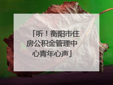 听！衡阳市住房公积金管理中心青年心声