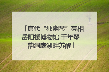 唐代“独幽琴”亮相岳阳楼博物馆 千年琴韵洞庭湖畔苏醒