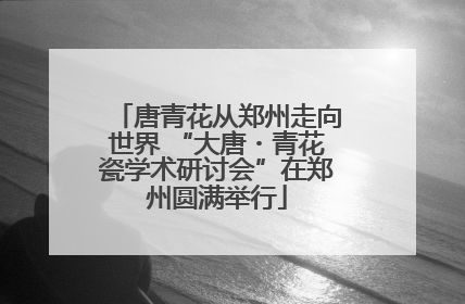 唐青花从郑州走向世界 “大唐・青花瓷学术研讨会”在郑州圆满举行