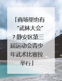 商场里也有“武林大会”？静安区第三届运动会青少年武术比赛拉举行