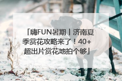 嗨FUN暑期丨济南夏季赏花攻略来了！40+超出片赏花地拍个够