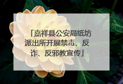 嘉祥县公安局纸坊派出所开展禁毒、反诈、反邪教宣传