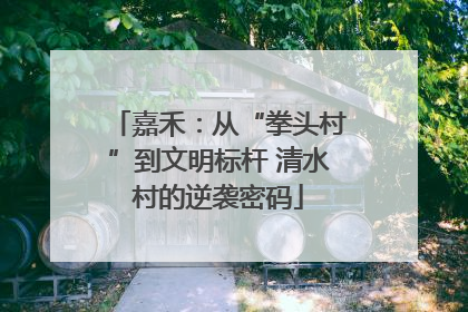 嘉禾：从“拳头村”到文明标杆 清水村的逆袭密码