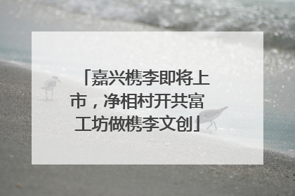 嘉兴槜李即将上市，净相村开共富工坊做槜李文创