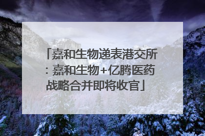 嘉和生物递表港交所：嘉和生物+亿腾医药战略合并即将收官
