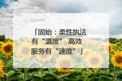 固始：柔性执法有“温度” 高效服务有“速度”