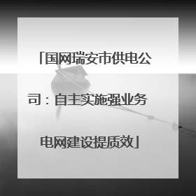 国网瑞安市供电公司：自主实施强业务 电网建设提质效