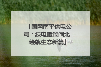 国网南平供电公司：绿电赋能闽北 绘就生态新篇