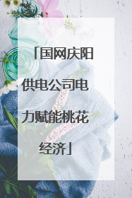 国网庆阳供电公司电力赋能桃花经济