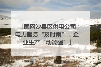 国网沙县区供电公司：电力服务“及时雨”，企业生产“动能强”