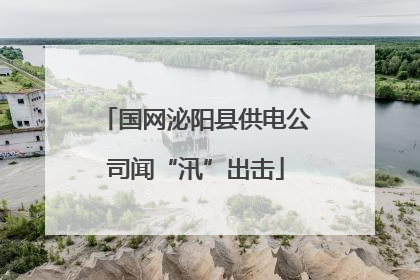 国网泌阳县供电公司闻“汛”出击