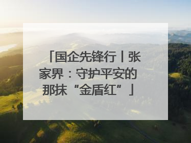 国企先锋行丨张家界：守护平安的那抹“金盾红”
