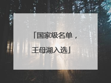 国家级名单，王母湖入选