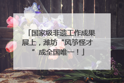 国家级非遗工作成果展上，潍坊“风筝怪才”成全国唯一！