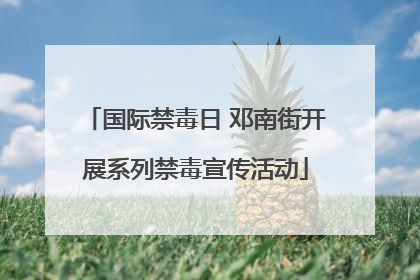 国际禁毒日 邓南街开展系列禁毒宣传活动