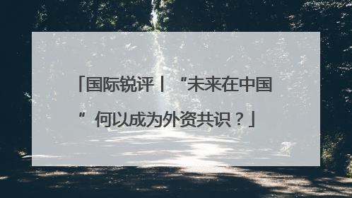 国际锐评丨“未来在中国”何以成为外资共识？