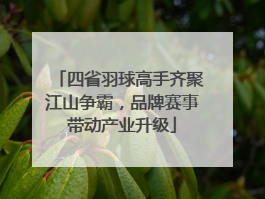 四省羽球高手齐聚江山争霸，品牌赛事带动产业升级