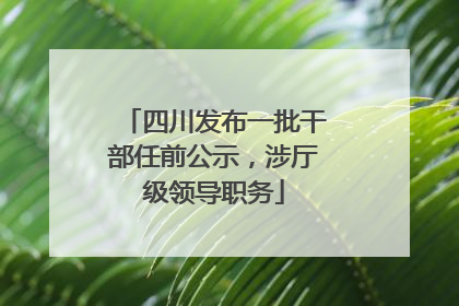 四川发布一批干部任前公示，涉厅级领导职务