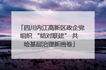四川内江高新区政企党组织 “结对联建” 共绘基层治理新画卷